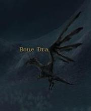 Bone Dragon